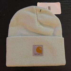 Youth Carhartt Knit Watch Hat Beanie, O/S, Gossamer Green